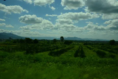 DSC_9680 (Large).JPG